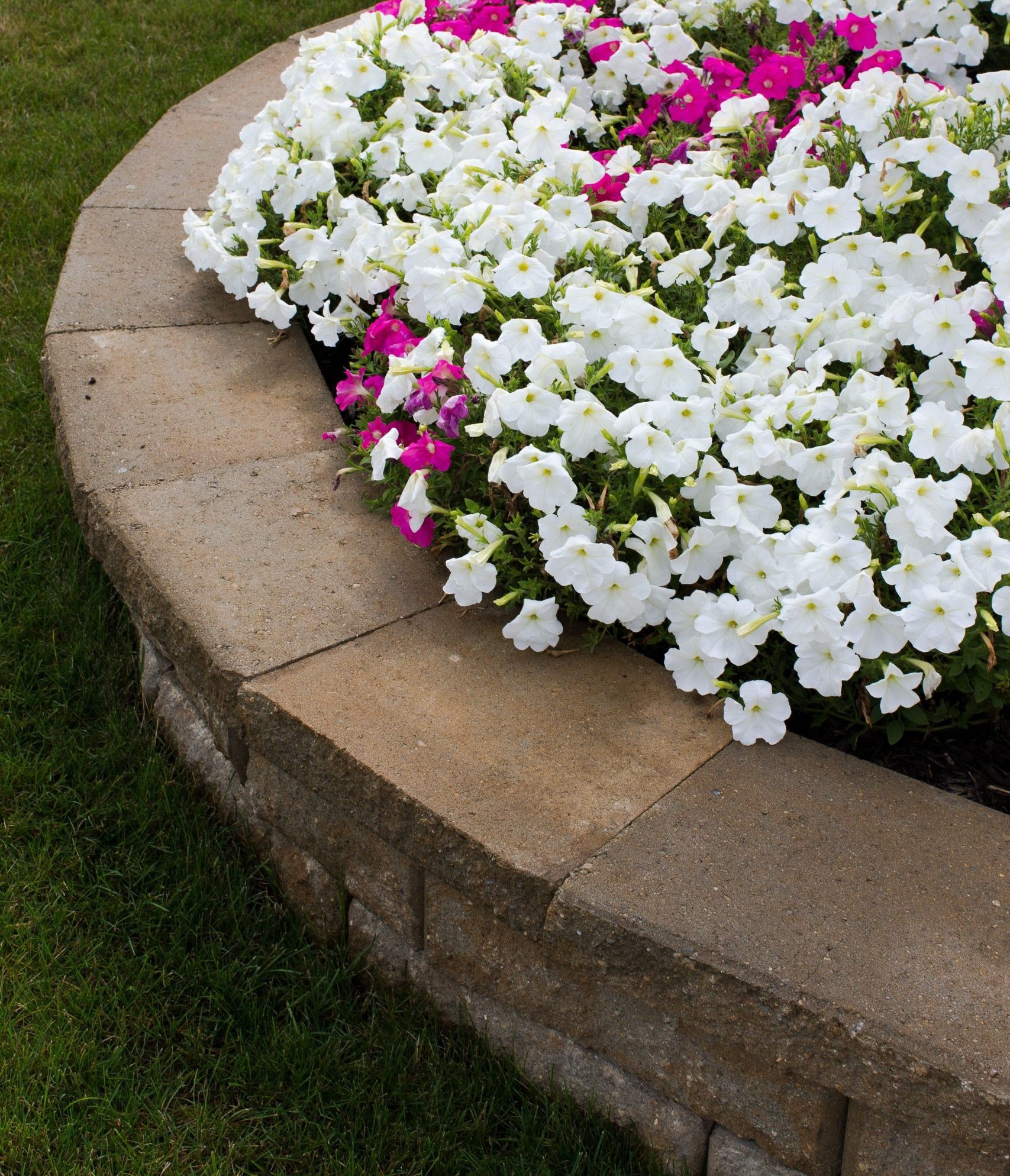 Low-Maintenance Landscaping: Beauty Without the Burden