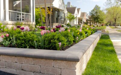 Preparing for Summer: The Essential April Checklist for a Healthy Summer Lawn