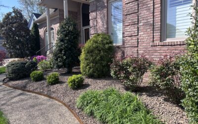 Curb Appeal That Lasts: Front-Yard Upgrades Worth the Investment